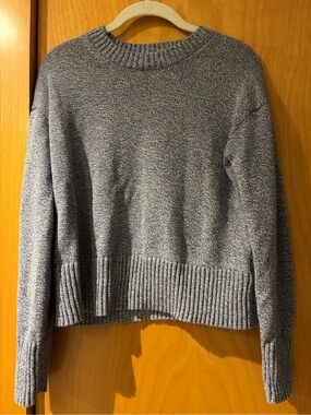 Everlane Marled Heather Blue Crewneck Sweater
